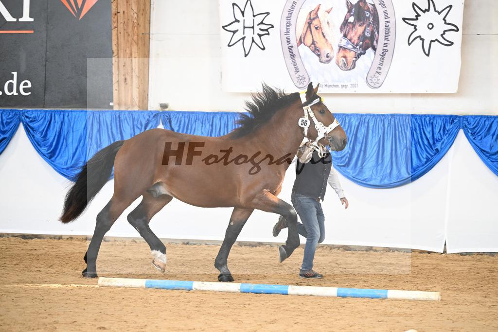 Kat-Nr. 56 Ruck Zuck v. Ratz Fatz_Schwaiger_39250891 | hf-fotografie - Realizzato con Pictrs.com