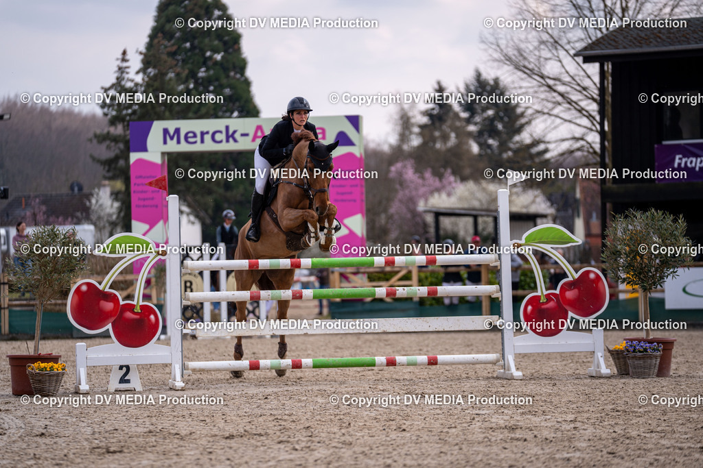 Kranichstein Tag 2-2216 | dv-media-shop - Realisiert mit Pictrs.com