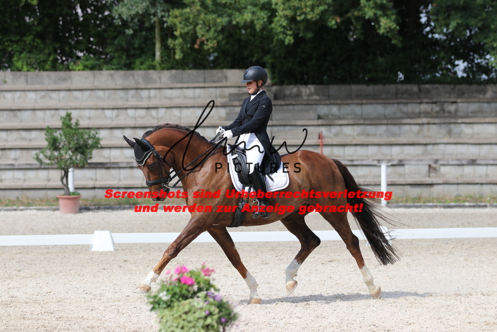 IMG_6842 | lmwpictures - Realisiert mit Pictrs.com