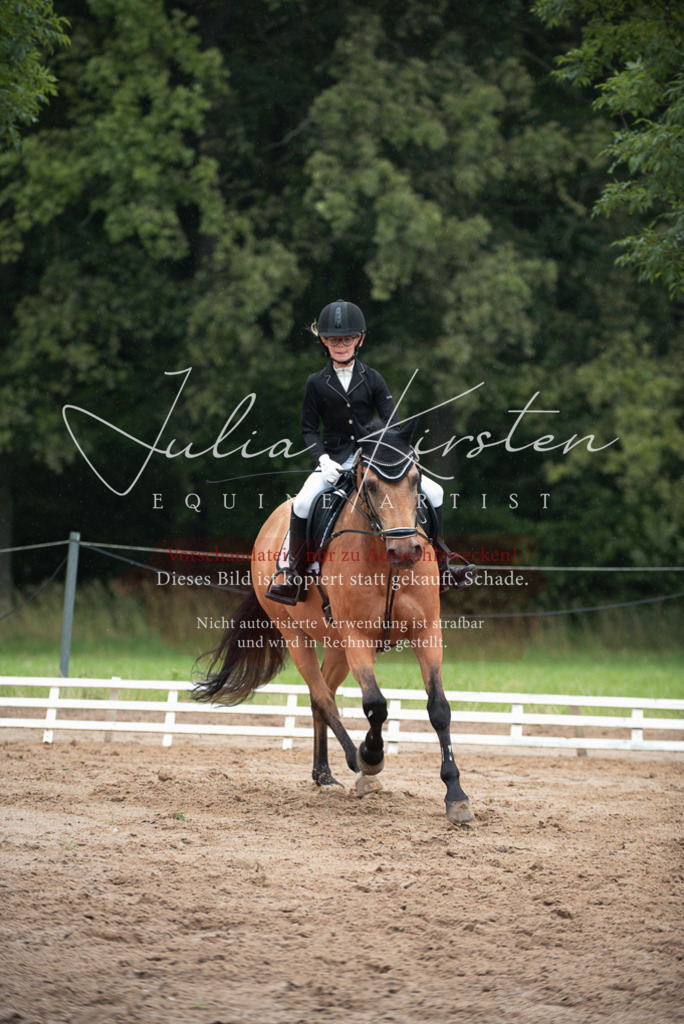 DSC_9877 | Pferde- und Turnierfotografie in Westsachsen. Pferdeportraits, Auftragszeichnungen und intuitive Kunst.