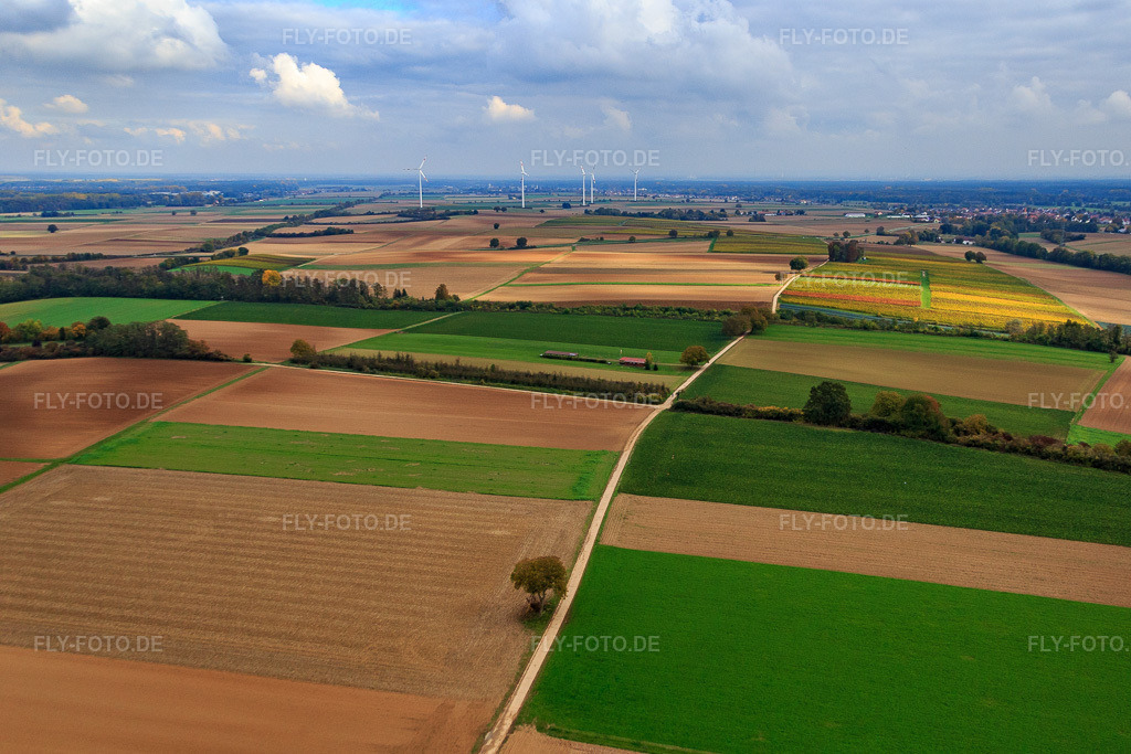 Luftbild: Freckenfelder Modellflugplatz in Freckenfeld im Bundesland Rheinland-Pfalz in Deutschland. Foto: IMG_084573.jpg vom 23.10.2015 durch Werner Riehm/FLY-FOTO.de