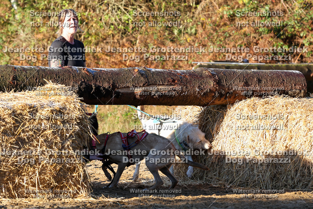 Dog Paparazzi - Strongdog 10-25-825 | Dog Paparazzi Jeanette Grottendiek Fotografie & Videografie - Realisiert mit Pictrs.com