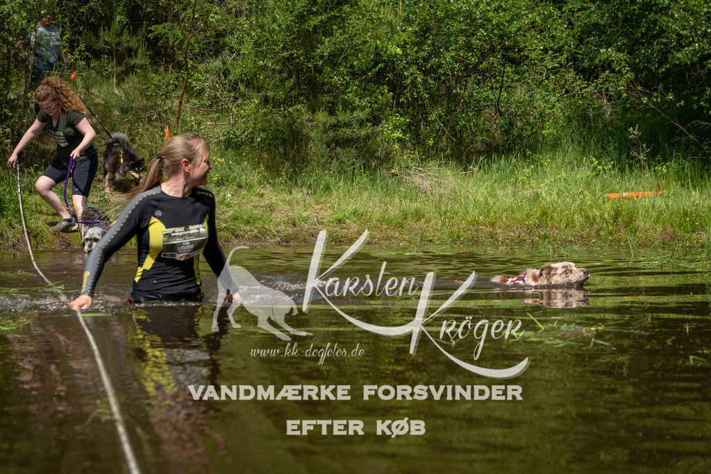 1215DKK992310 | kk-dogfotos