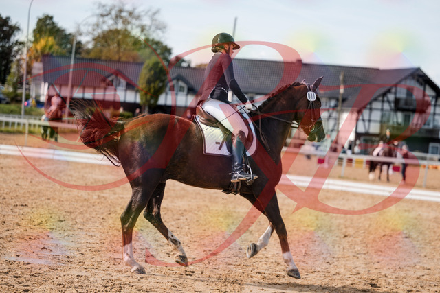 2026_10_03_Siefer-Hof_132349_Z63_85920848 | Professionelle Reitsport-, Turnier- und Eventfotografie von Robert Broda. Galerien mit ausgewählten und bearbeiteten Bildern direkt online ansehen und bestellen.