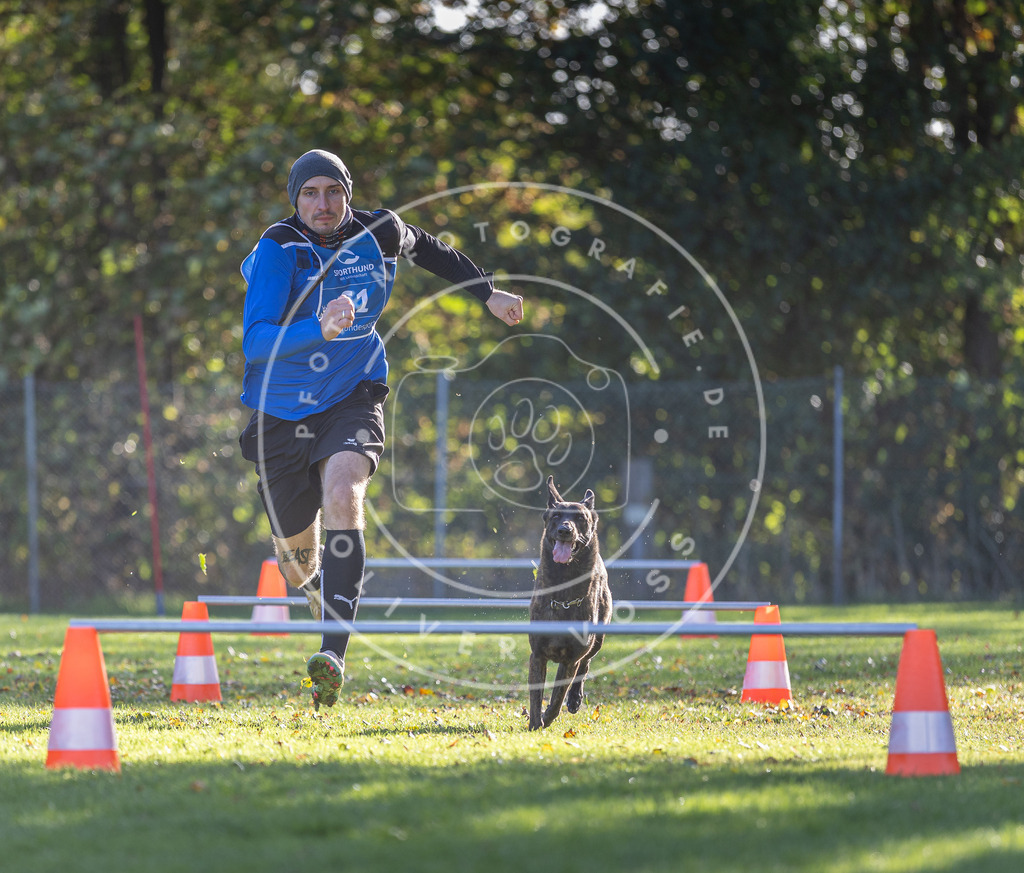 Pfotenfotografie.de_DV3A3123 | Hundefotografie, Tierfotograf, Pfotenfotografie, Fotoshooting Hund, Hunde Portrait, Hundesport, Hundeportraits, Heideshooting, Hunde, Sportfotograf, Hundefotograf, Turnierhundsport, THS, canicross - Realisiert mit Pictrs.com