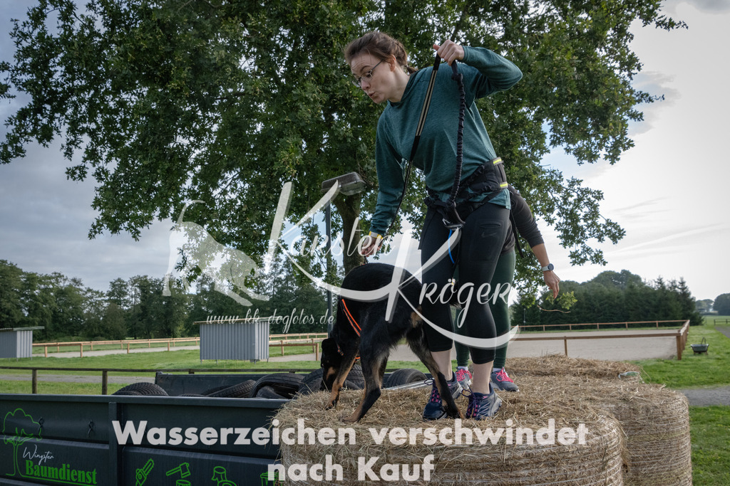 0921_ZZ90129 | kk-dogfotos