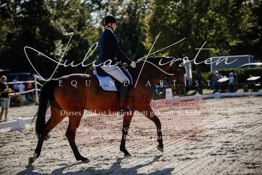 DSC_0403 | Pferde- und Turnierfotografie in Westsachsen. Pferdeportraits, Auftragszeichnungen und intuitive Kunst.