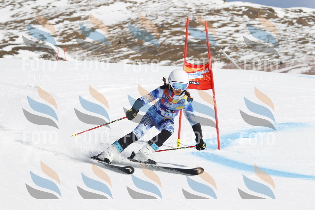 _U3G0522 | holidayphoto