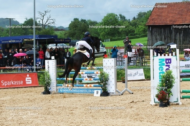 OHT2541 | Fotografie, Tiere, Hunde, Katzen, Pferde, Sportfotografie, Fotosession, Tierfotografie, Turnierfotografie, Fotografin, Fotograf - Realisiert mit Pictrs.com