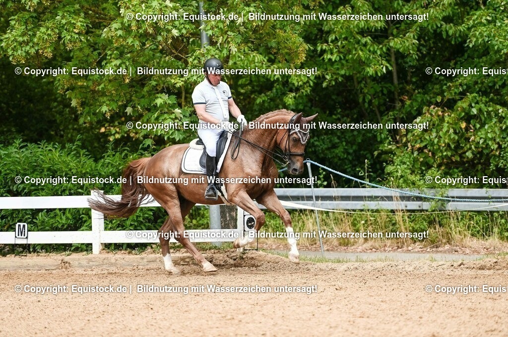 20230716_01_Dressurprüfung Kl.M_0101 | equistock