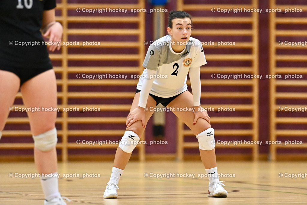 Askö Volley Eagles vs. Mühlviertel Volleys 17.12.2022 | #2 KIRCHER Elisabeth