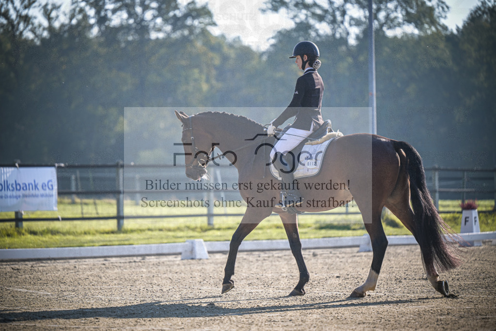 DOS_0146 | Entdecke hochwertige Reitturnierfotos von Foto Oger. Professionell, emotional und authentisch – jetzt Lieblingsmomente im Shop bestellen.Deutschlandweite Turnierfotografie. - Realisiert mit Pictrs.com