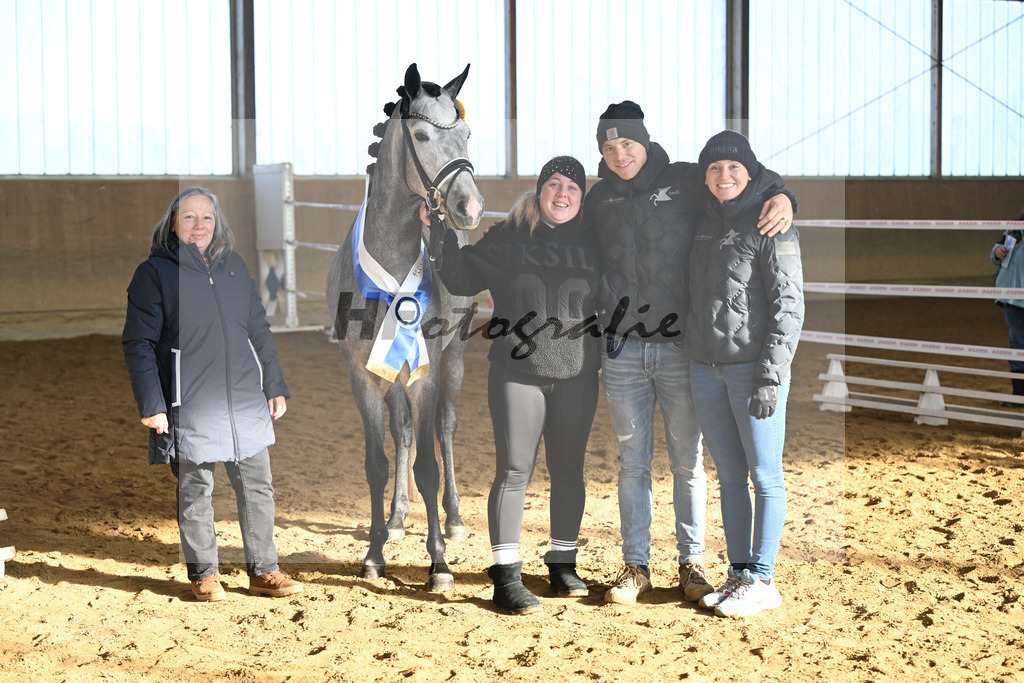 Kat-Nr. 3 Golden Diamond K v. GoldenGray_Koldas_49250260 | hf-fotografie - Realisiert mit Pictrs.com