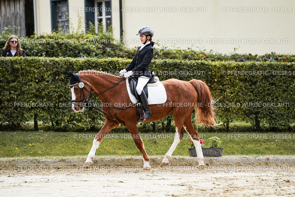 DSC05407 | Pferdegrafie