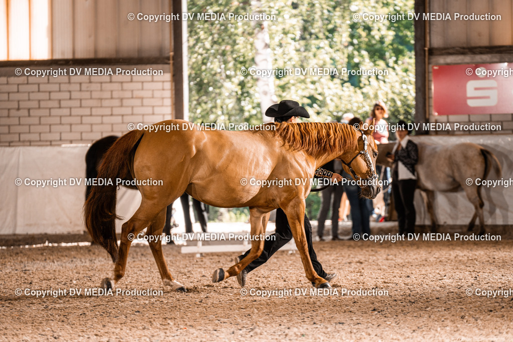 ZH100058 | dv-media-shop - Realisiert mit Pictrs.com