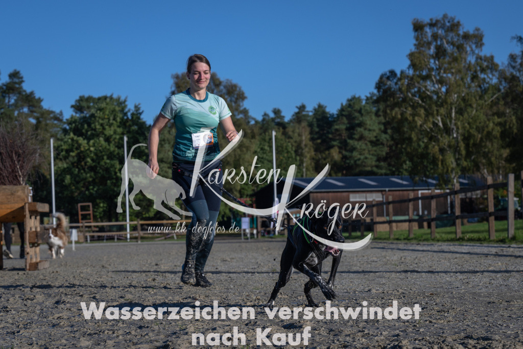 1026-_ZZ91213 | kk-dogfotos