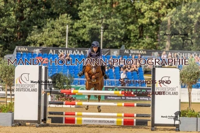 27 SPR 6-129 | mandyhollmannphotographie