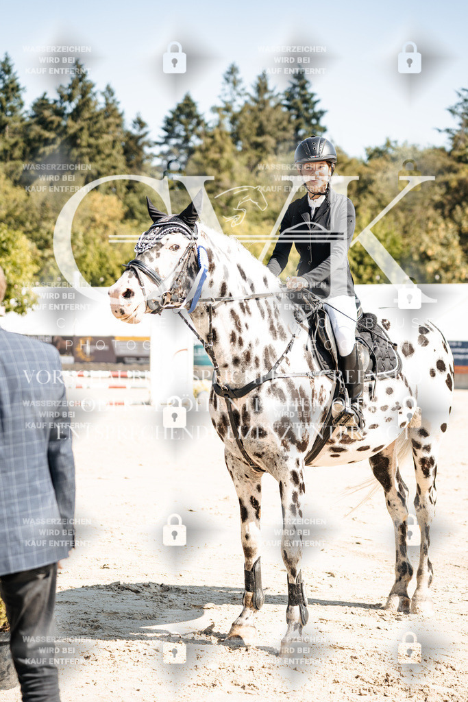 CK704824 | Turnierfotografie Pferdefotografie Trier Rheinland-Pfalz Pferdesport Reitsport Tierfotografie Sportfotografie Pferdevideo Pferdevideografie Equestrianvideography equestrianphotography  - Realisiert mit Pictrs.com