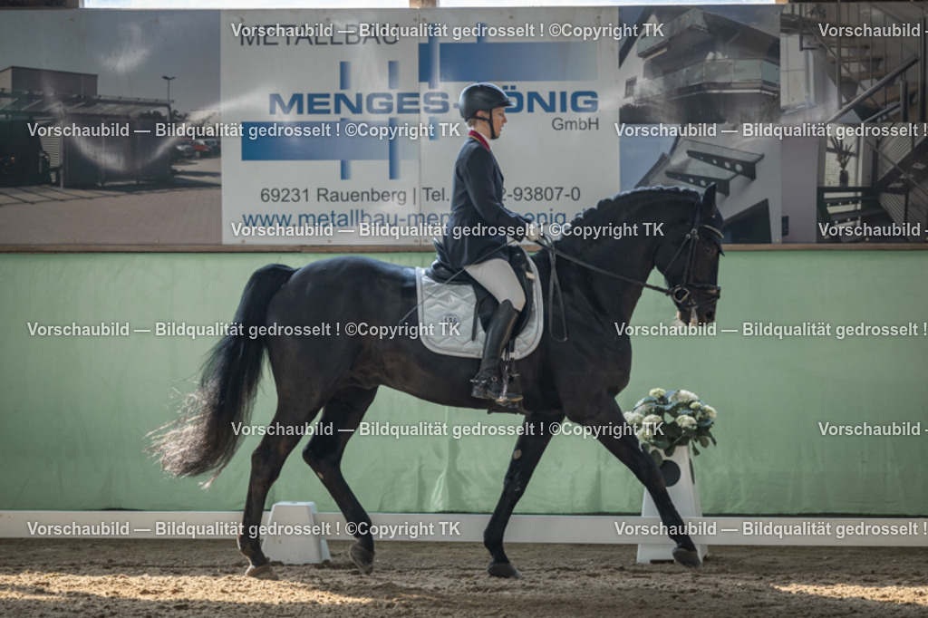 _D5A8467 | Emotionale Pferde- & People-Fotografie rund um Heidelberg, Leimen & Umgebung. Natürliche Fotos von Pferd, Mensch & Familie. Jetzt Termin sichern!