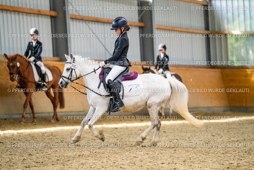 DSC03391 | Pferdegrafie