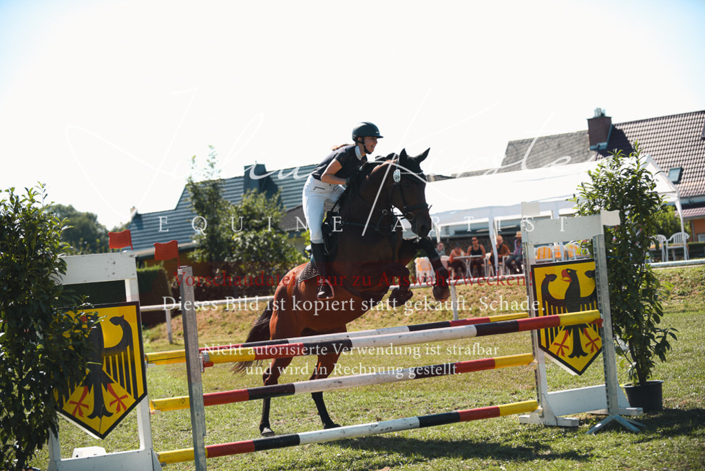 DSC_7233 | Pferde- und Turnierfotografie in Westsachsen. Pferdeportraits, Auftragszeichnungen und intuitive Kunst.