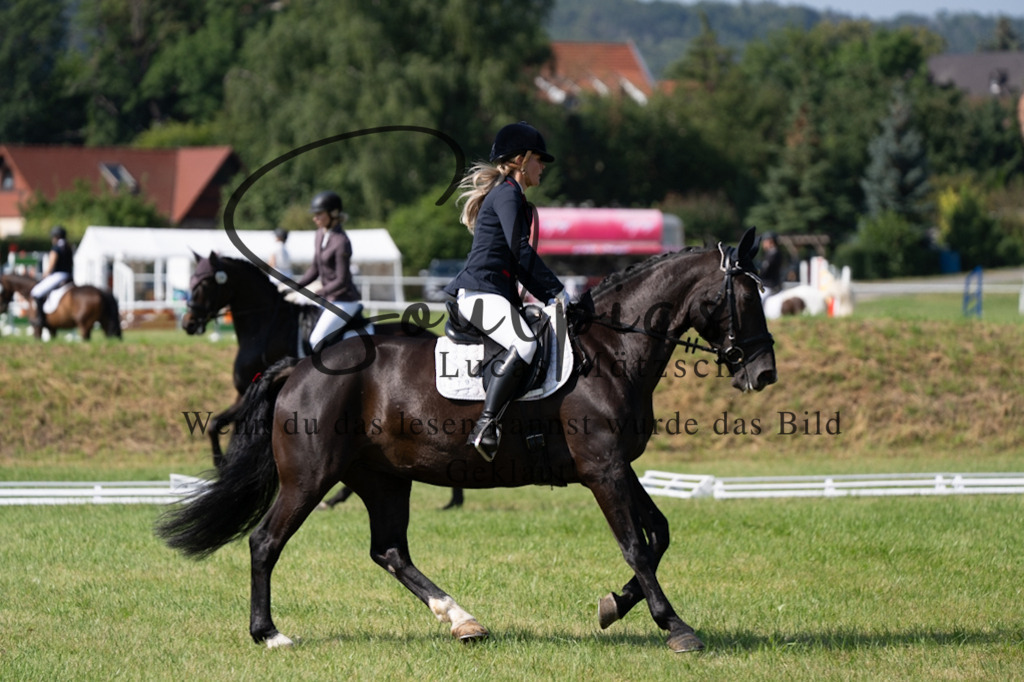 A7V09569 | Pferdefotograf