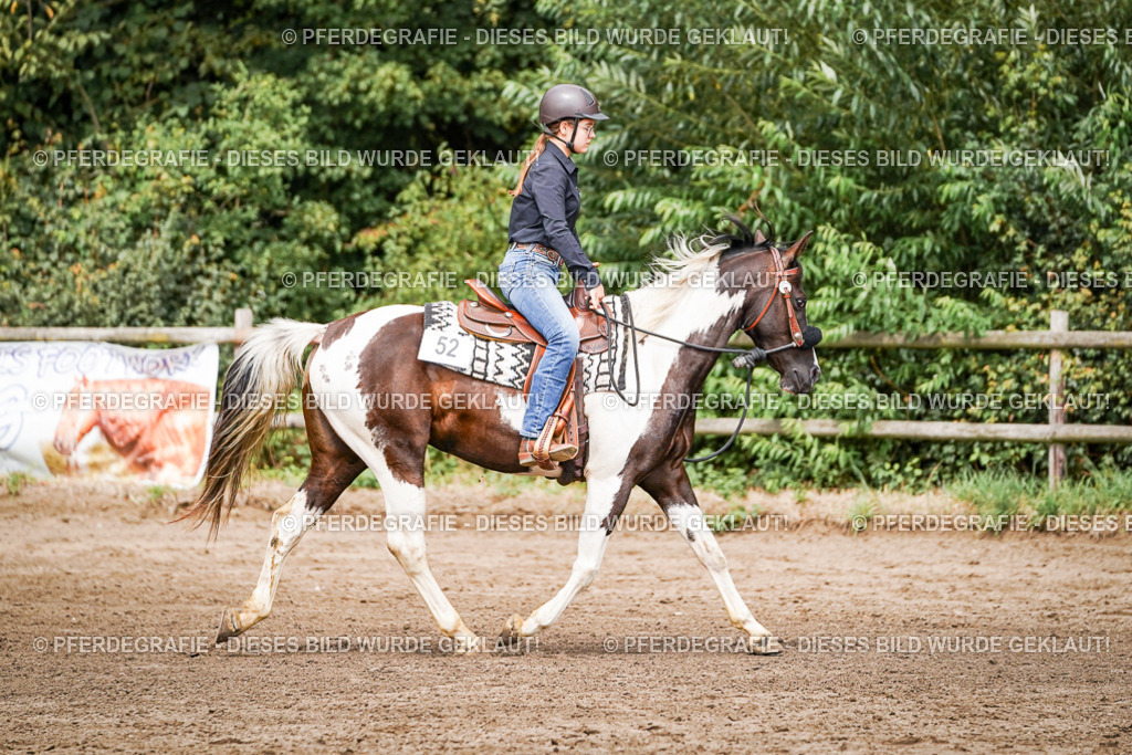 DSC07778 | Pferdegrafie