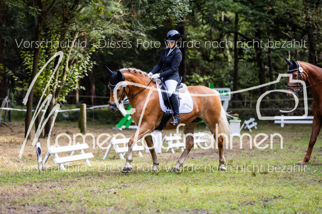 HB-Dressur-WB-053 | MomenTaufnahmen Pferdesportfotos