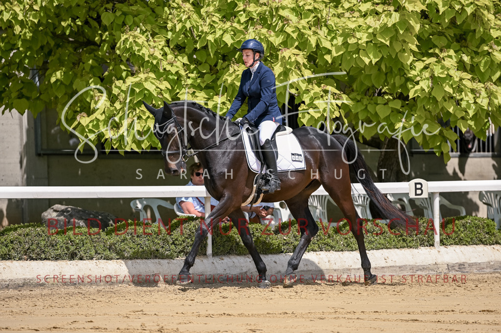 Schugtsche-Aluta25-48.Reitpferfdeprf.-189 | Schugtsche Fotografie - Realisiert mit Pictrs.com