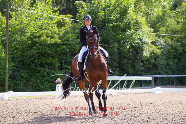 DKP41514 | Turnierfotos kaufen im Webshop von Daniel Kuhl Photography – entdecke professionelle Reitsportfotos aus Turnieren & Events. Hochwertige Turnierbilder online bestellen & sichern. Jetzt Fotos von Reitsportturnieren kaufen!