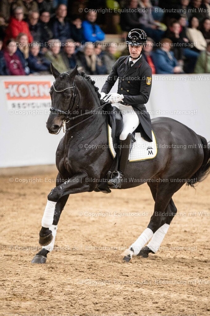 20260307_Hengstvorstellung-Marbach_0496 | equistock