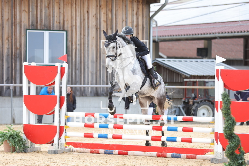 0P6A7381 | Willkommen bei Brunnmayr - Design & Fotografie – Ihrem Spezialisten für Reitturniere und Pferdeveranstaltungen in Oberösterreich, Salzburg und Bayern! Seit über 17 Jahren sind wir leidenschaftlich dabei.
