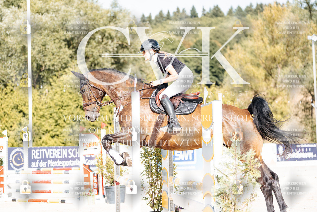 CK909083 | Turnierfotografie Pferdefotografie Trier Rheinland-Pfalz Pferdesport Reitsport Tierfotografie Sportfotografie Pferdevideo Pferdevideografie Equestrianvideography equestrianphotography  - Realisiert mit Pictrs.com