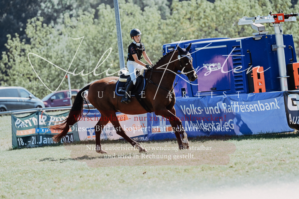 DSC_6602 | Pferde- und Turnierfotografie in Westsachsen. Pferdeportraits, Auftragszeichnungen und intuitive Kunst.