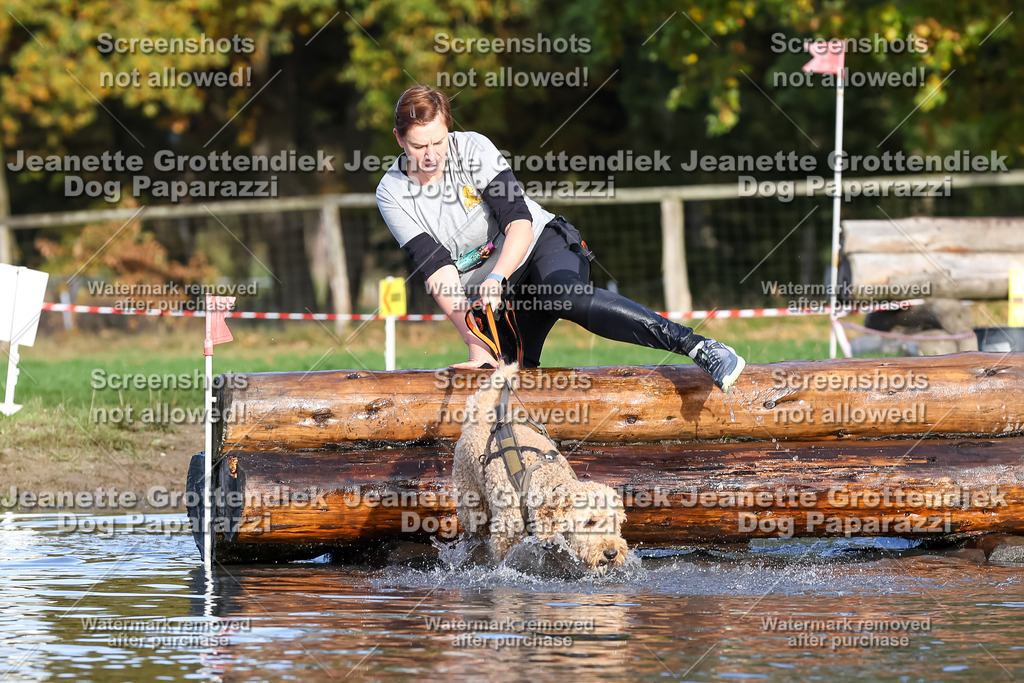 Dog Paparazzi - Strongdog 10-25-8441 | Dog Paparazzi Jeanette Grottendiek Fotografie & Videografie - Realisiert mit Pictrs.com