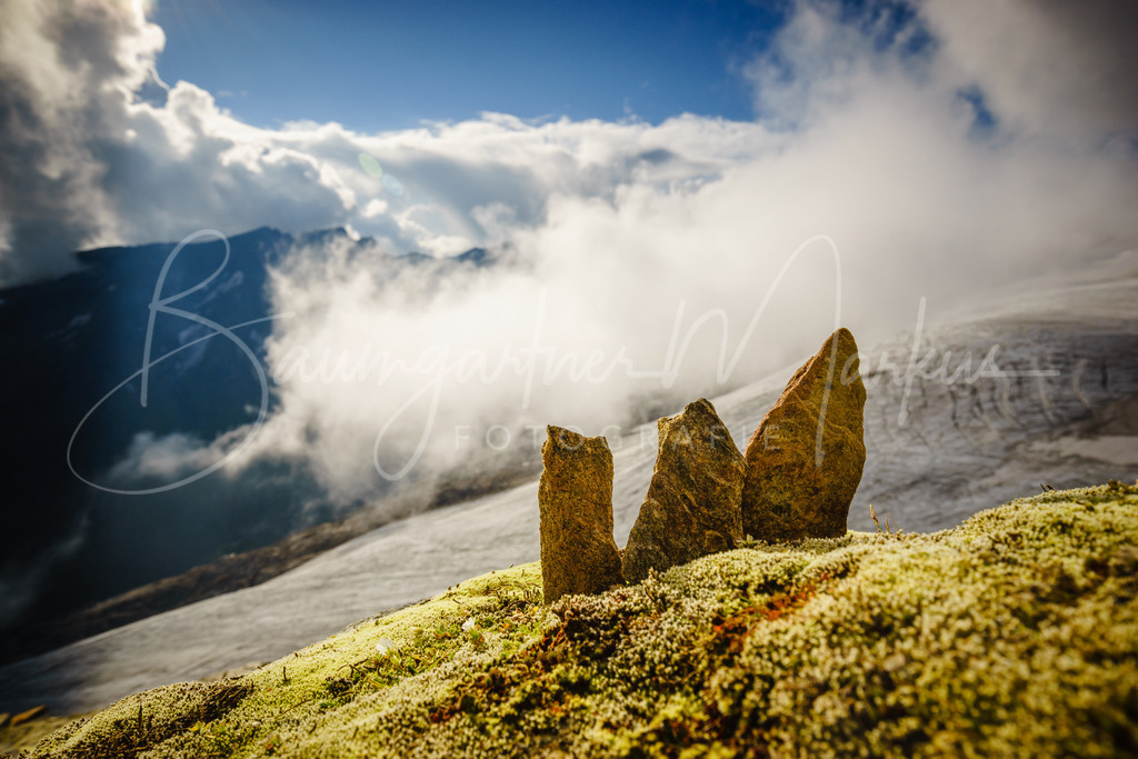 _DSC9932 | Baumgartner Markus Fotografie