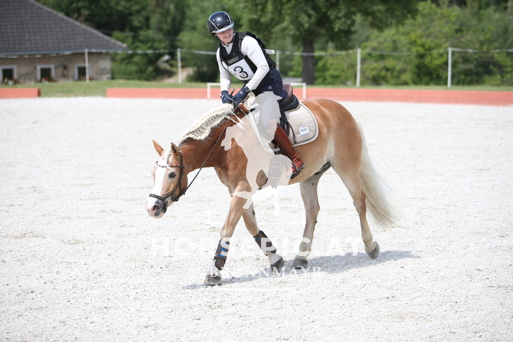 PP014731 | Willkommen bei Brunnmayr - Design & Fotografie – Ihrem Spezialisten für Reitturniere und Pferdeveranstaltungen in Oberösterreich, Salzburg und Bayern! Seit über 17 Jahren sind wir leidenschaftlich dabei.