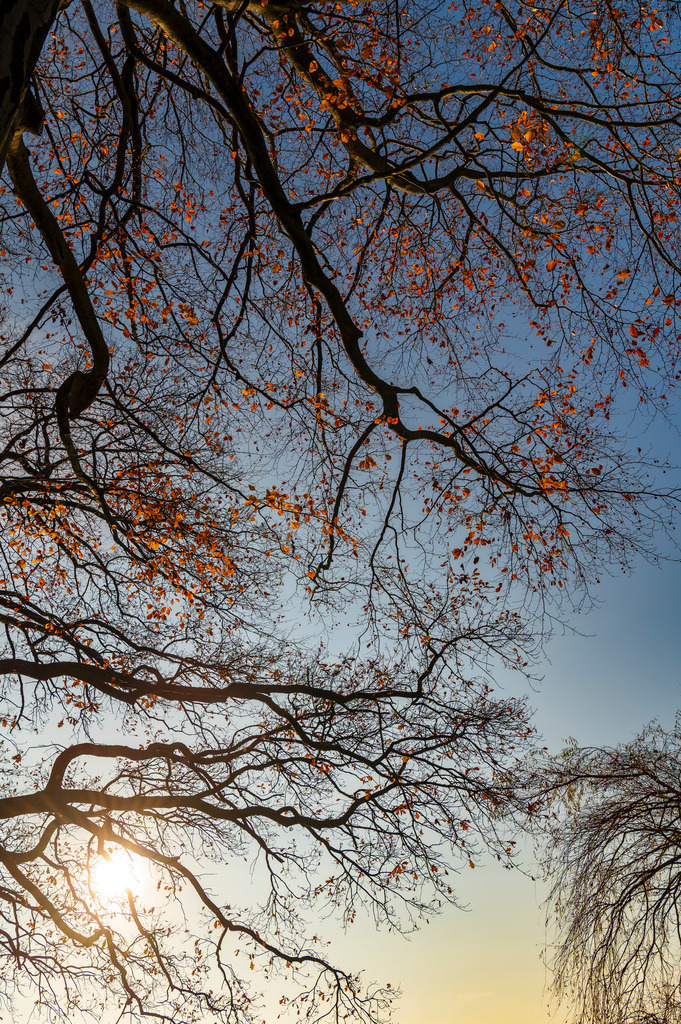 2022_12_11_HH-ALSTER_MCP6080 | Hochwertig gedruckte Fotografien für die Wand, als Kalender und zum Verschenken. Hamburg & Norddeutschland und überall wo ich mit der Kamera unterwegs war.