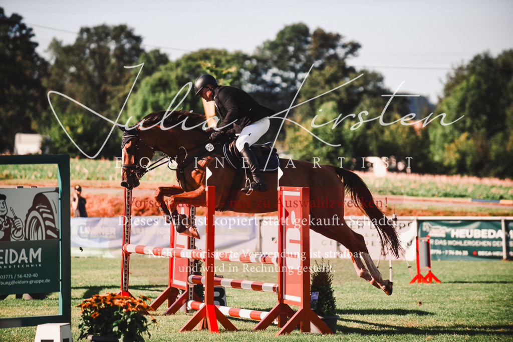 DSC_2198 | Pferde- und Turnierfotografie in Westsachsen. Pferdeportraits, Auftragszeichnungen und intuitive Kunst.