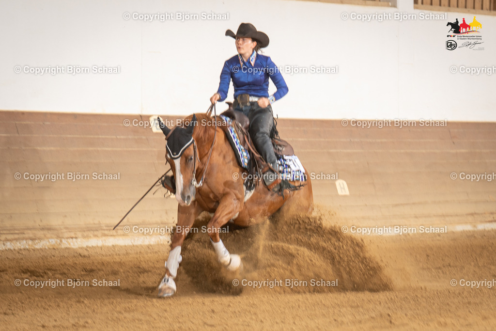 LMS08028 | BS-foto