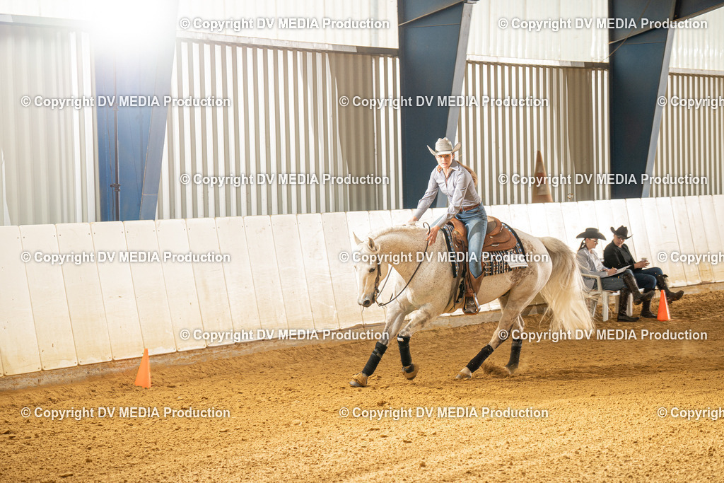 MIT00482 | dv-media-shop - Realisiert mit Pictrs.com