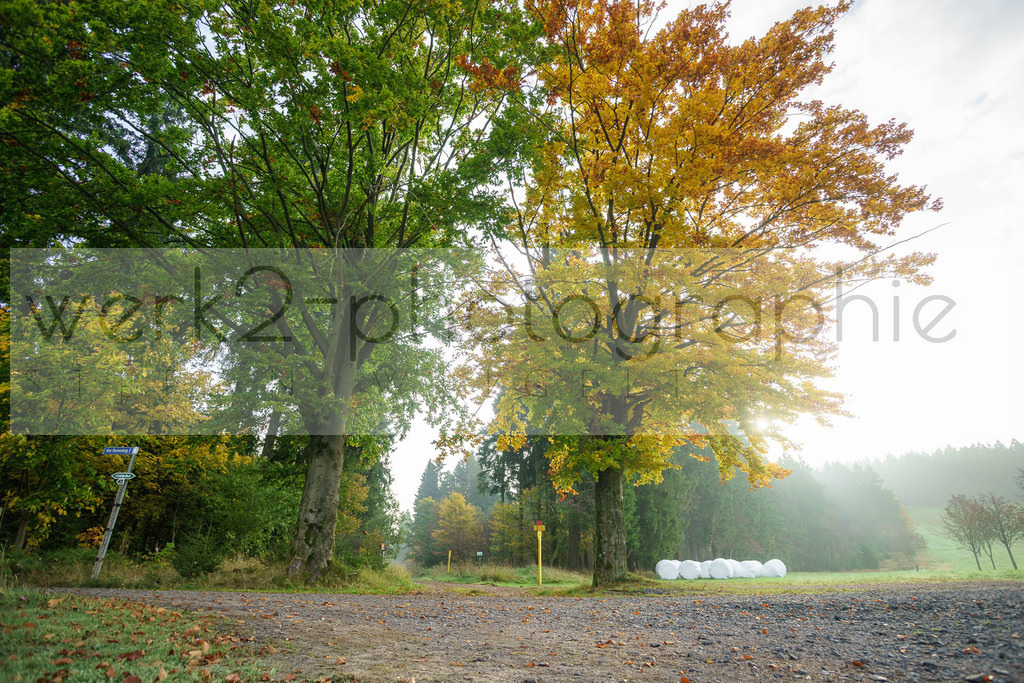 Herbstlauf 2017 | Neuhaus/Rwg. - Masserberg am 1. Oktober 2017