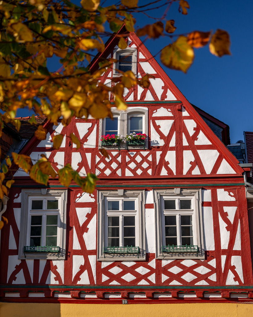 DSC_0534 | renerovisanfotoart.com