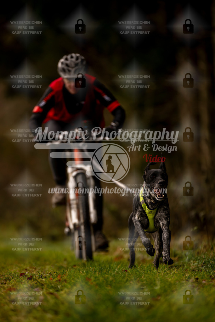 MompixPhotography_2SSTSSBW_2025_SO_Bike-82 | PayLife