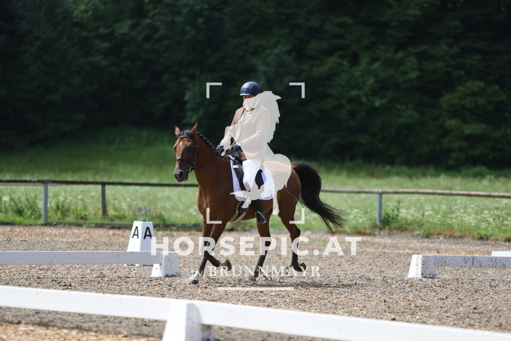 0P6A0429 | Willkommen bei Brunnmayr - Design & Fotografie – Ihrem Spezialisten für Reitturniere und Pferdeveranstaltungen in Oberösterreich, Salzburg und Bayern! Seit über 17 Jahren sind wir leidenschaftlich dabei.