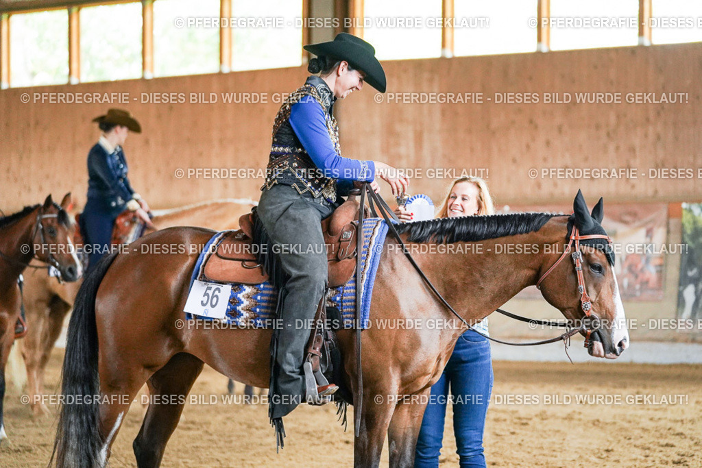 DSC05810 | Pferdegrafie