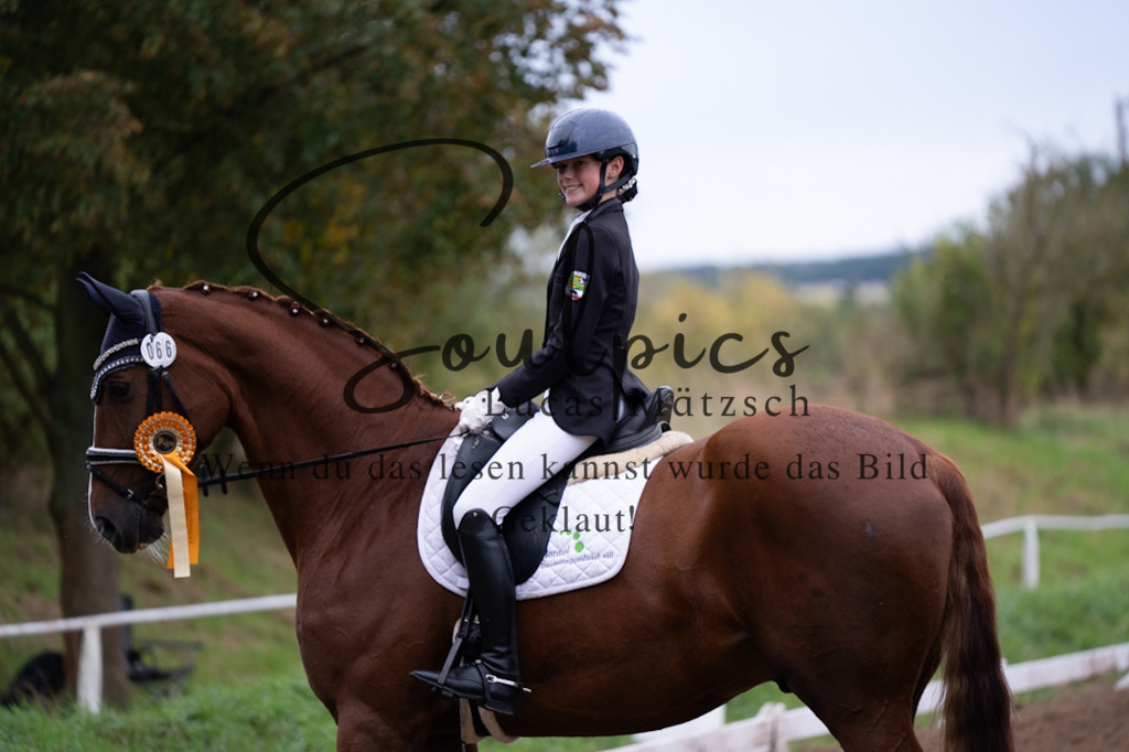 A7V06054 | Pferdefotograf