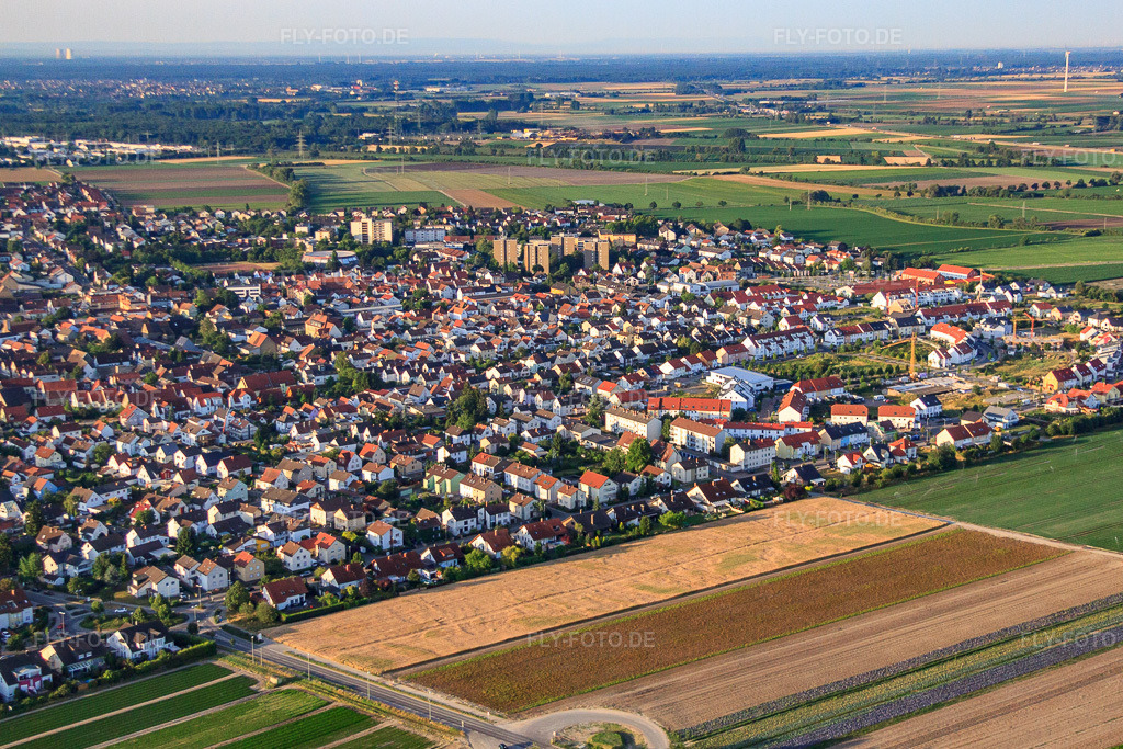 Luftbild: Medardusring in Mutterstadt im Bundesland Rheinland-Pfalz in Deutschland. Foto: IMG_69531.jpg vom 04.07.2014 durch Werner Riehm/FLY-FOTO.de
