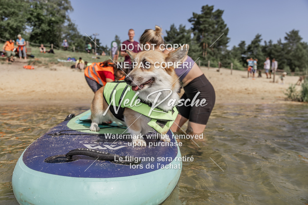BUHU_SUP_428 | nelerasche