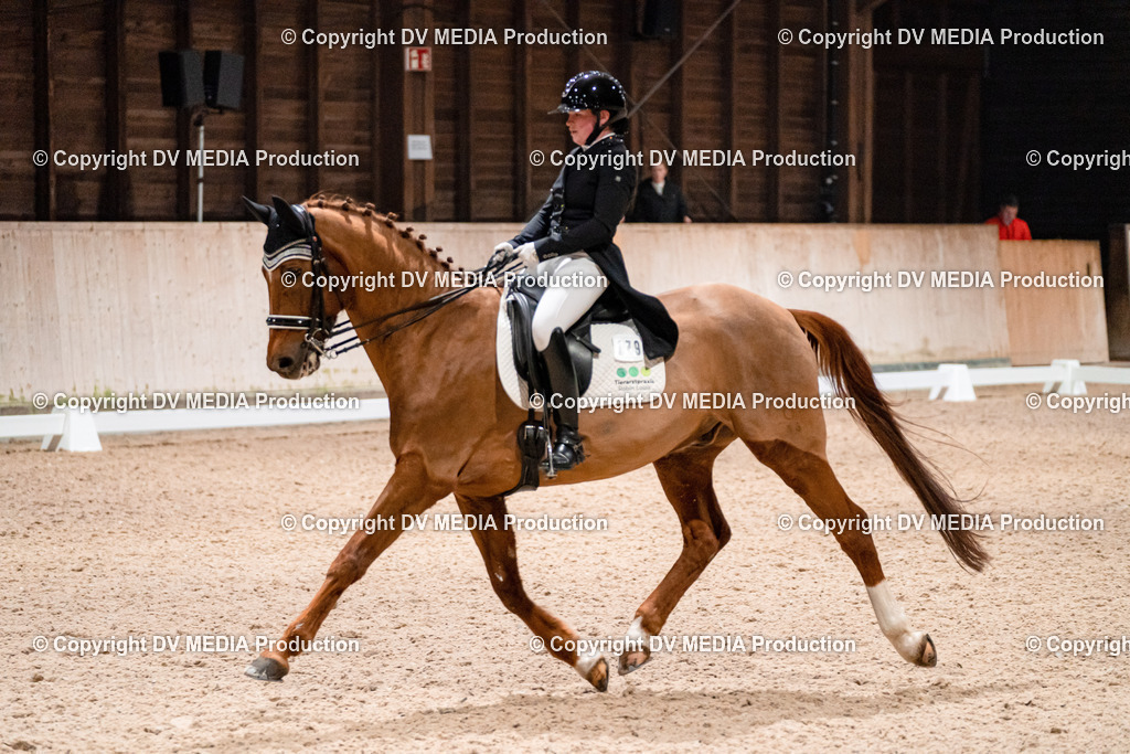 Dressur Tag 2-615 | dv-media-shop - Realisiert mit Pictrs.com